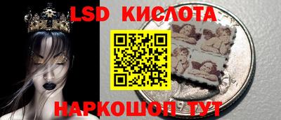 стафф Гай