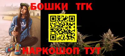 стафф Гай