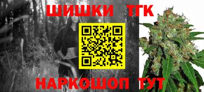 стафф Гай