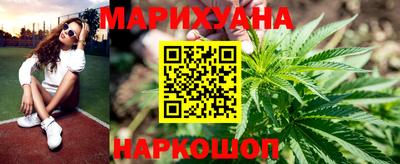 стафф Гай