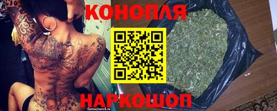 стафф Гай