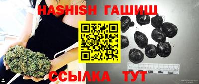 стафф Гай