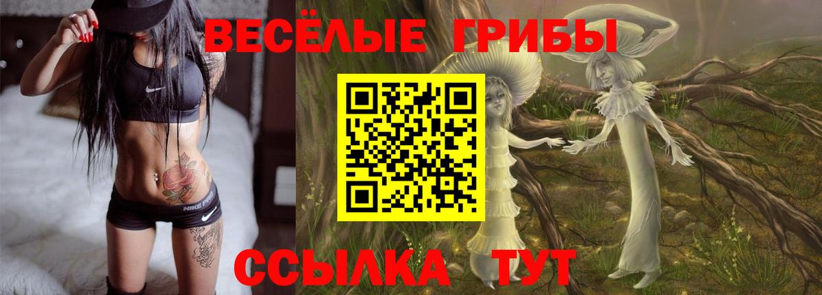 Псилоцибиновые грибы мицелий Добрянка